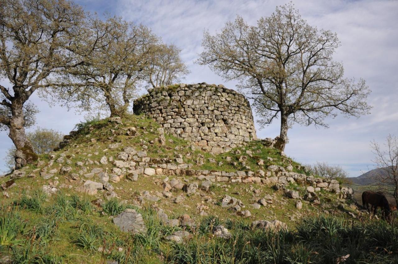 דירות פוני L Agrifoglio Di Rita Loddo מראה חיצוני תמונה